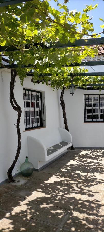 El Lagar De Piedra Vila San Juan de la Rambla Exterior foto