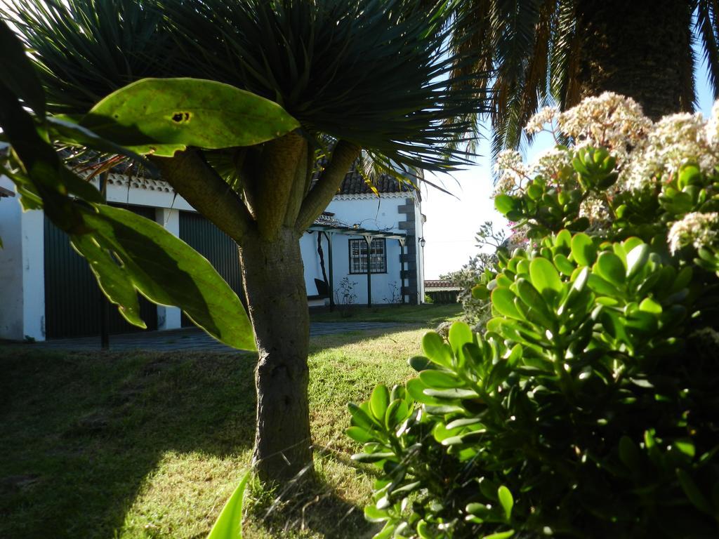 El Lagar De Piedra Vila San Juan de la Rambla Exterior foto